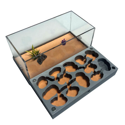 3D Acryl Flat Ant Farm Ecological Ant Nest with Feeding Area Concrete Ant House Anthill Workshop Moisturizing Water Pool New