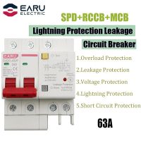 63A 2P SPD Residual Current Circuit Breaker With Overload Overvoltage RCBO RCCB With Lightning Protection MCB Leakage Protector Electrical Circuitry P