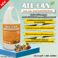 ปุ๋ยน้ำผลไม้นอกฤดู1000ML. เพิ่มตาดอก ติดผล ลดการหลุดร่วง น้ำหนักดี ALL GAN สาหร่ายสกัดไซโตไคนิน ฮอร์โมนพืช ปุ๋ยน้ำทางใบ