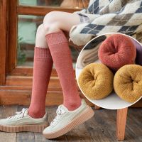 【CC】☞  New Womens Socks Cotton Trick Warm Color Thickened Calf Terry Stockings