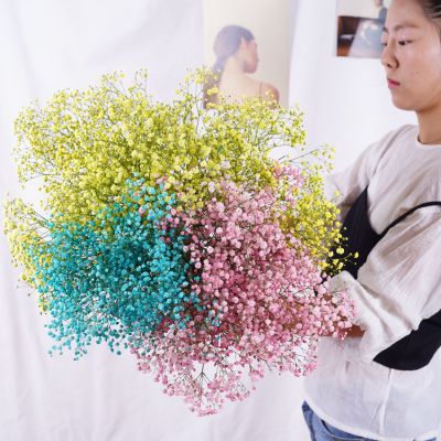 [AYIQ Flower Shop] 200กรัม Dekoration Gypsophila ธรรมชาติแห้งที่เก็บรักษาไว้ช่อ BabysBreath ดอกไม้ Gedroogde ตกแต่งงานแต่งงาน Paniculata Pampasowa