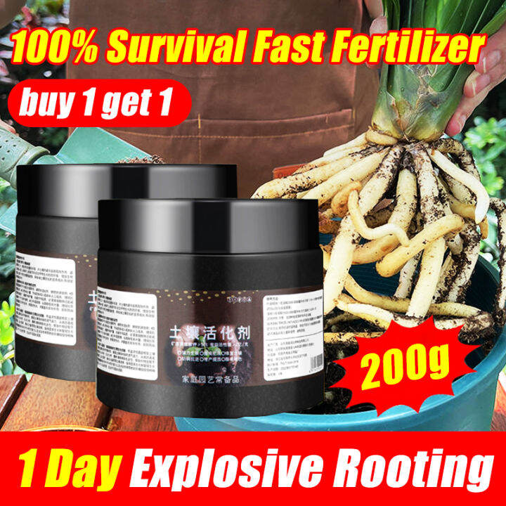 1 Day Explosive Rooting🔥 rooting powder for plants 200g rooting hormone