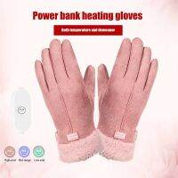 hotx【DT】 USB Rechargeable Heated Gloves With Design Motorbike Racing Riding