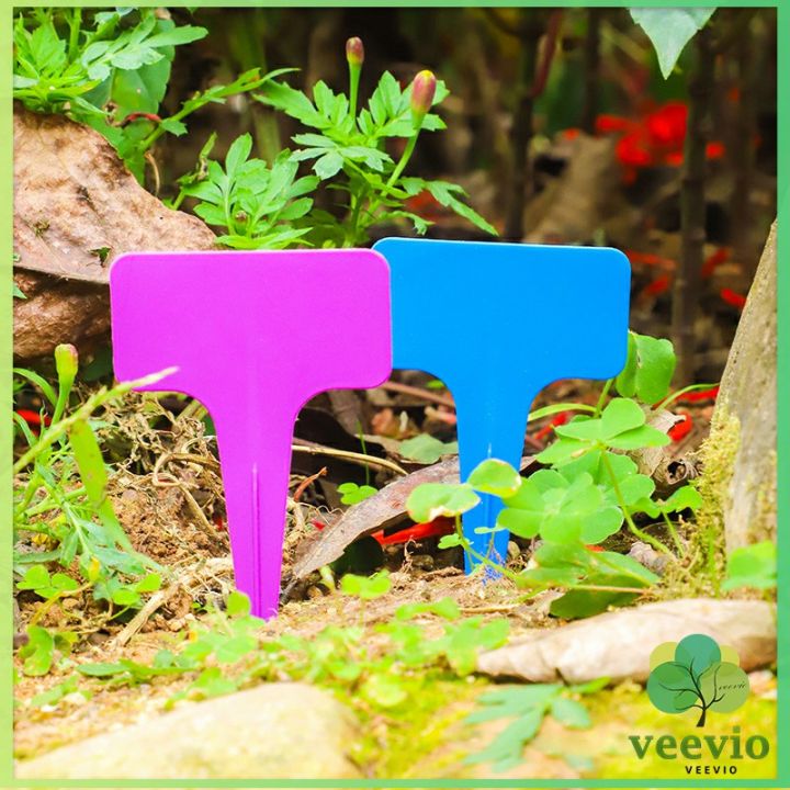 veevio-ป้ายพลาสติก-mini-ป้ายชื่อแคคตัส-ป้ายชื่อสวน-ป้ายไม้ดอกไม้-garden-label-มีสินค้าพร้อมส่ง