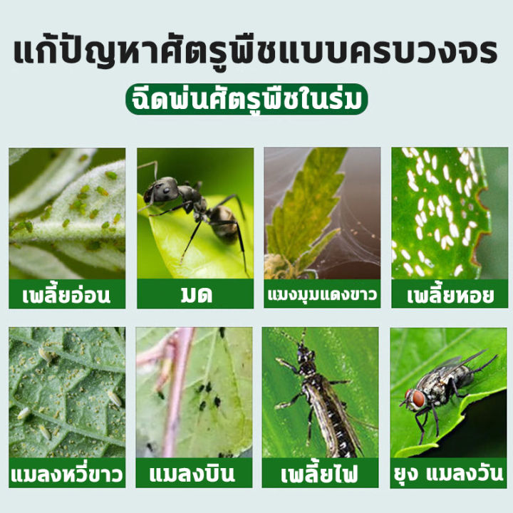 แมลง-ยากำจัดแมลงพืช-500ml-ยากำจัดหนอน-สารกำจัดแมลงแมลงกินใบ-ยากำจัดเพลี้ย-เพลี้ย-หนอน-มด-เกษตร-สวน-เพลี้ยไฟ-เพลี้ยกระโดด-แมลงหวี่ขาว-พลี้ยแป้ง-อะซีทามิพริด-หนอนชอนใบ-อะบาเม็กติน-พืช