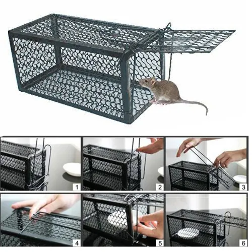 MOUSE TRAP CAGE Good Quality Mouse Trap Live Rat Trap Cage Lazada PH