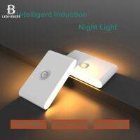 LED Induction Night Light Human Body Infrared Closet Lights Type-C Charging Magnetic Suction Wall Lamp for Bedroom Stair Toilet