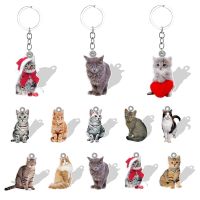 2D Resin Cat Pendant Keychains Photo in Acrylic Sheet with metal Key Chains Jewelry Car Keyring Keyholder Accessories QDW770 Key Chains