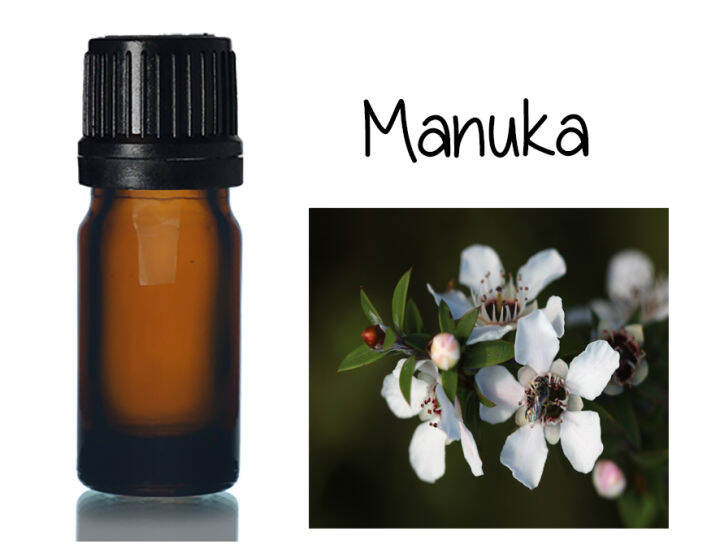 Pure Manuka essential oil 5ml Lazada PH