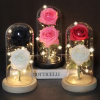 【YF】◄♂✲  In Glass A Base Lamp And The Wedding Valentines Day Dec