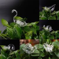 【CW】 Types Glass Flowers Feeder Watering Devices