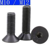 Haotao Hardware} M10 - 1.5 10มม. M12 1.75 12มม. สีดำ10.9คลาสโลหะผสมซ็อกเก็ตหกเหลี่ยม Countersunk หัวสกรูสลักเกลียวแบน DIN 7991