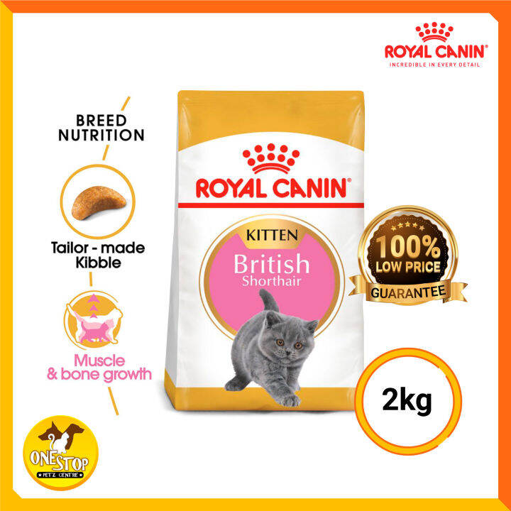 Royal Canin British Shorthair Kitten 2KG | Lazada