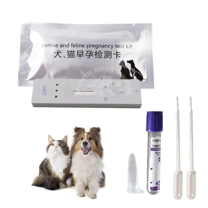Dog Cat Pregnancy Test Strip Card Canine And Feline Pregnancy Test Kit อุปกรณ์สัตวแพทย์ Lazada