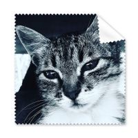 Animal Cool Gray Cat Photograph Cleaning Cloth Phone Screen Glasses Cleaner 5pcs Lens Cleaners