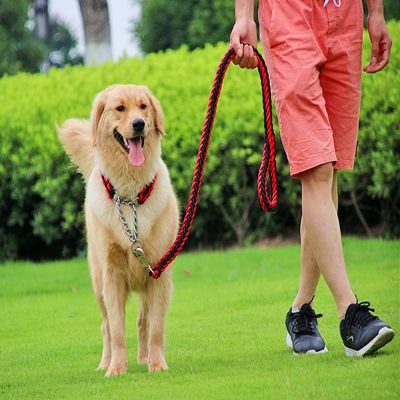 （PAPI PET）Papi Pet เชือกสายคู่ยาว1.2เมตร,หัวเข็มขัดโซ่เหล็กสายจูงสุนัข P A01ชุดปลอกคอเชือกลากสัตว์เลี้ยงสีประจำชาติ