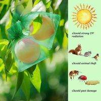 100pcs Plant Insect Bag Grape Strawberry Net Protective Bag Dark Green 15*20cm