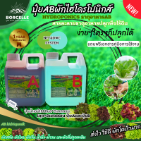 ปุ๋ย A.B. Super GroW-โตเร็ว ใช้ปลูกได้ทั้งไม้ใบ ผักกินใบ ขนาด1ลิตร New