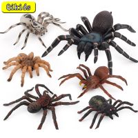 Brinquedo Complicado Aranha เทียมฮาโลวีน Decoração Simulado Aranha Modelo Realista Estatuetas De Aranha De Plásticko Miúdo Brinquedo Novidade Presente