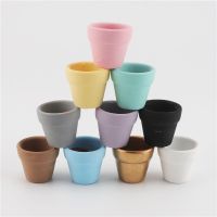 [NEW EXPRESS] 1 Piece Mini Teeny Colourful Terracotta Pot Clay Ceramic Pottery Planter Cactus Cute Flower Pots Succulent Nursery