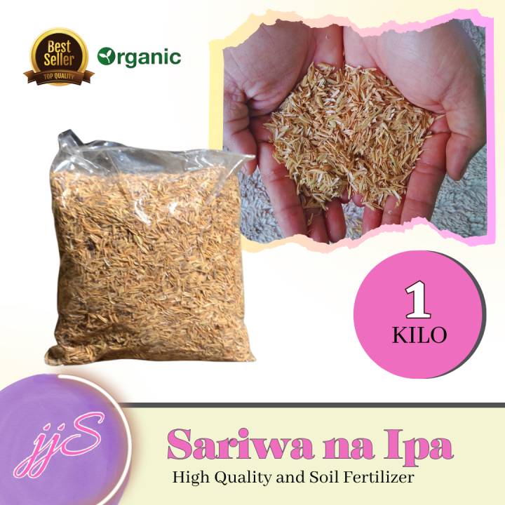 SARIWA NA IPA ng palay/ Pure Rice Hull / Fresh Rice Hull 1 Kilogram For