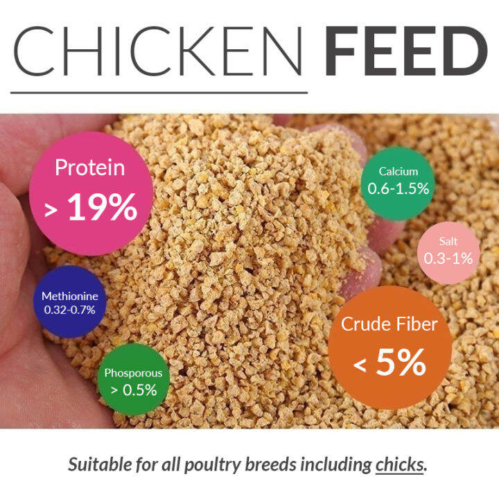 5kg Cheap Chicken Feed for Chick & Adults [LOCAL SELLER] Lazada Singapore