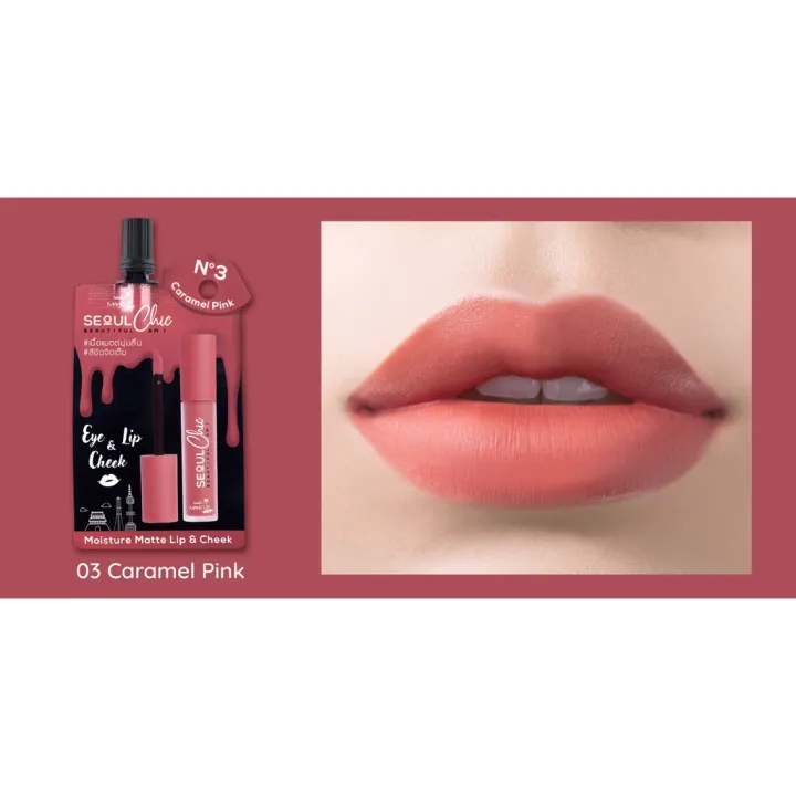 Nami Seoul Chic Moisture Matte Lip & Cheek 3in1 1pcs | Lazada