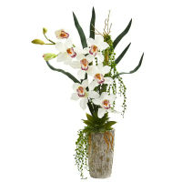 กล้วยไม้ Cymbidium จัดประดิษฐ์ในชาวไร่