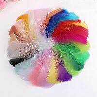 100pcs 8-12 Cm Middle Floating Feather Colourful for Wedding Clothing Decoration Plumas