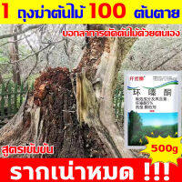 ?ตรงไปที่ราก!!?FM ยากำจัดต้นไม้ สารกำจัดกอไผ่ ผงกำจัดต้นไผ่ ยาฆ่าตอไม้ 500g สูตรเข้มข้น กำจัดวัชพืชรากเน่า ผลติดทนนาน ไม่เป็นอันตรายต่อดิน บอกลาการตัดต้นไม้ด้วยตนเอง ยากำจัดกอไผ่ กำจัดต้นไม้ กำจัดกอไผ่ ผงกำจัดกอไผ่ ปุ๋ยกำจัดกอไผ่ สารกำจัดต้นไม้ ยาฆ่าหญ้