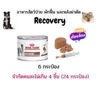 ส่งฟรีทุกรายการ (จำกัดกสรซื้อคนละไม่เกิน 4 ชิ้น) Royal Canin อาหารสัตว์พักฟื้น Recovery (แมว) 6 กระป๋อง(หมดอายุ : 24/09/2023)