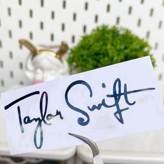 Taylor Swift Swiftie Sticker Decal Laptop Tumbler Mug Swifties 