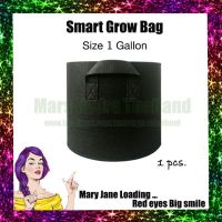 [ส่งKERRY] ถุงปลูกต้นไม้แบบผ้า ขนาด 1/3/5/7/10/15/17/20/30/40 แกลลอน Smart Grow Bag - Fabric Pot แพ็ค 1 ถุง กระถางผ้าพร้อมที่จับ smart pot เติบโตถุงแบบพกพาที่ปลูกทำสวน กระถางต้นไม้แบบผ้า จัดส่งทุกวันส่งเร็ว