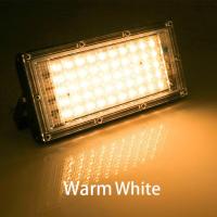 【❂Hot On Sale❂】 lezhandai00470736 Led Flood Light 30W 50W 100W Ac 220V 230V 240V ไฟสนามกลางแจ้ง Spotlight Ip65กันน้ำ Led โคมไฟภูมิทัศน์