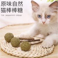 Cat Chew Toy Natural Silvervine Matatabi Molar Sticks Mint Licking Balls Catnip Funny Interactive Toy for Kitten Playing Chewing Toys