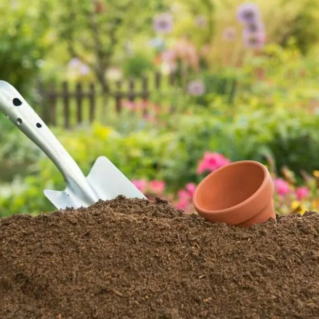 High Quality Garden Soil Buy 1kg. take 1kg Lazada PH