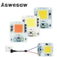 【CW】 Aswesaw Led Chips COB Diode 20W 30W 50W 220V/110V Driver for Flood Lamp Protector