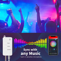 Tuya Smart WiFi LED Fairy String Light Dreamcolor 10m 100LED RGB RGBIC USB Strip Light Work Alexa Music Sync APP 24key Remote