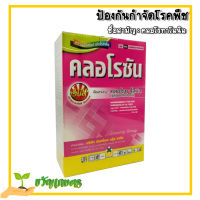 คลอโรซัน? คลอโรทาโรนิล ป้องกัน+กำจัดโรคใบไหม้ ใบจุด ราน้ำค้าง ป้องกันโรคพืช