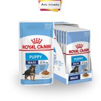 [ลด50%] [ส่งฟรี] ด่วน!! [ยกกล่อง] Royal Canin Dog Maxi Puppy อาหารเปียกสำหรับลูกสุนัข พันธุ์ใหญ่ (นน.โตเต็มวัย 26-44 กก)