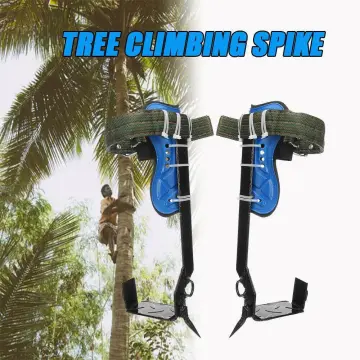 Buy Tree Climbing Tools online