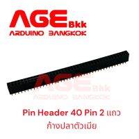 Pin Header 40 Pin (40PinX2Row), Pitch 2.54mm Female ก้างปลาตัวเมีย