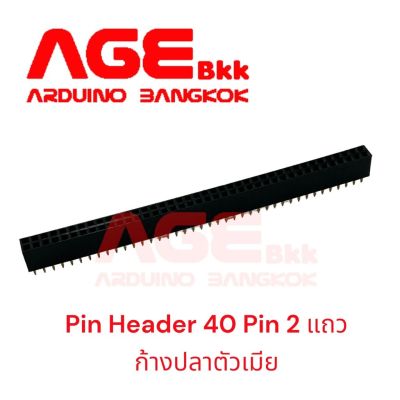 Pin Header 40 Pin (40PinX2Row), Pitch 2.54mm Female ก้างปลาตัวเมีย