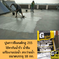 กาว กันซึม กลู (Gglu) 215 สำหรับกันซึมพื้นหรือผนังใช้ได้ทั้งงานใหม่และงานเก่าที่ต้องการทากันซึมมีสีให้เลือกมากกว่า20สี ขนาด 18 กิโลกรัม