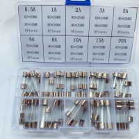 60pcs 5x20mm 6x30mm Quick Blow Glass Tube Fuse Assorted Kit Fast Blow Glass Fuses 250V (0.5A 1A 2A 3A 5A 6A 8A 10A 15A 20A)