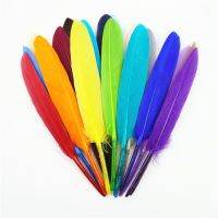 Wholesale 10-15cm/4-6inch Colorful Feathers Handicraft Accessories Small Plumes Jewelry Creation Decorations