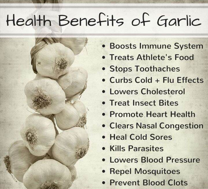 สารสกัดจากกระเทียม-aged-garlic-extract-total-heart-health-formula-108-100-capsules-kyolic