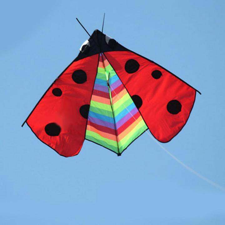 cw-colorful-delta-kite-fly-kite-flying-toys-single-line-easy-to-fly-huge-wingspan-triangle-ladybug-kite-for-garden-family-trips