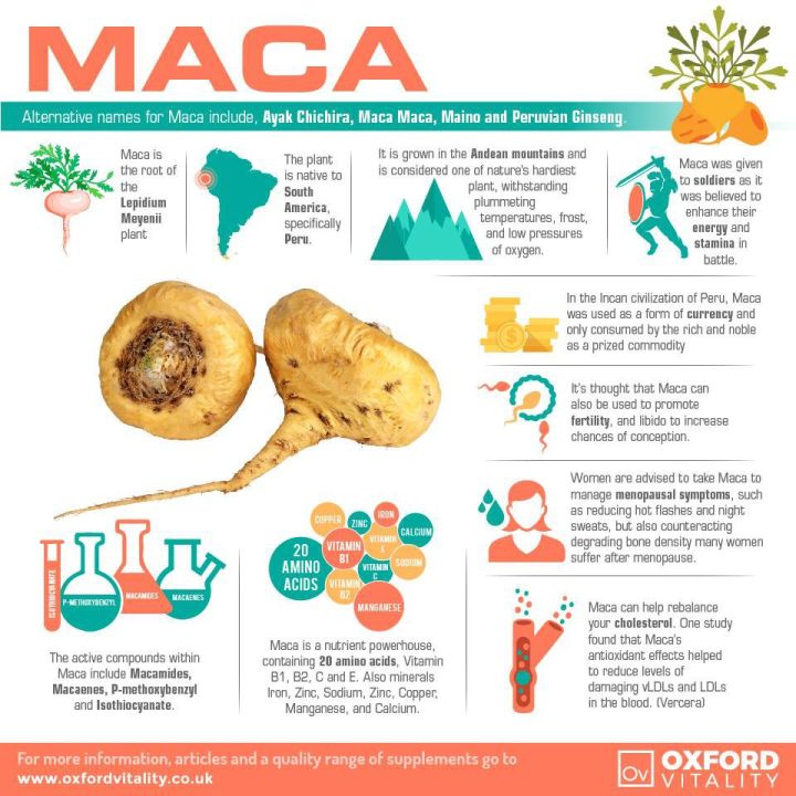 หัวมาคาสกัด-maca-500-mg-100-veg-capsules-now-foods-superfood