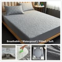 【100 】100 COTTON Fabric Mattress Protector King 3 Size Fitted Bedsheet Color Bed sheet